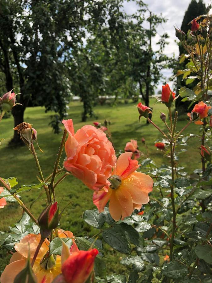 Wohlfuehlhotel Sonnengarten Uberlingen Buitenkant foto
